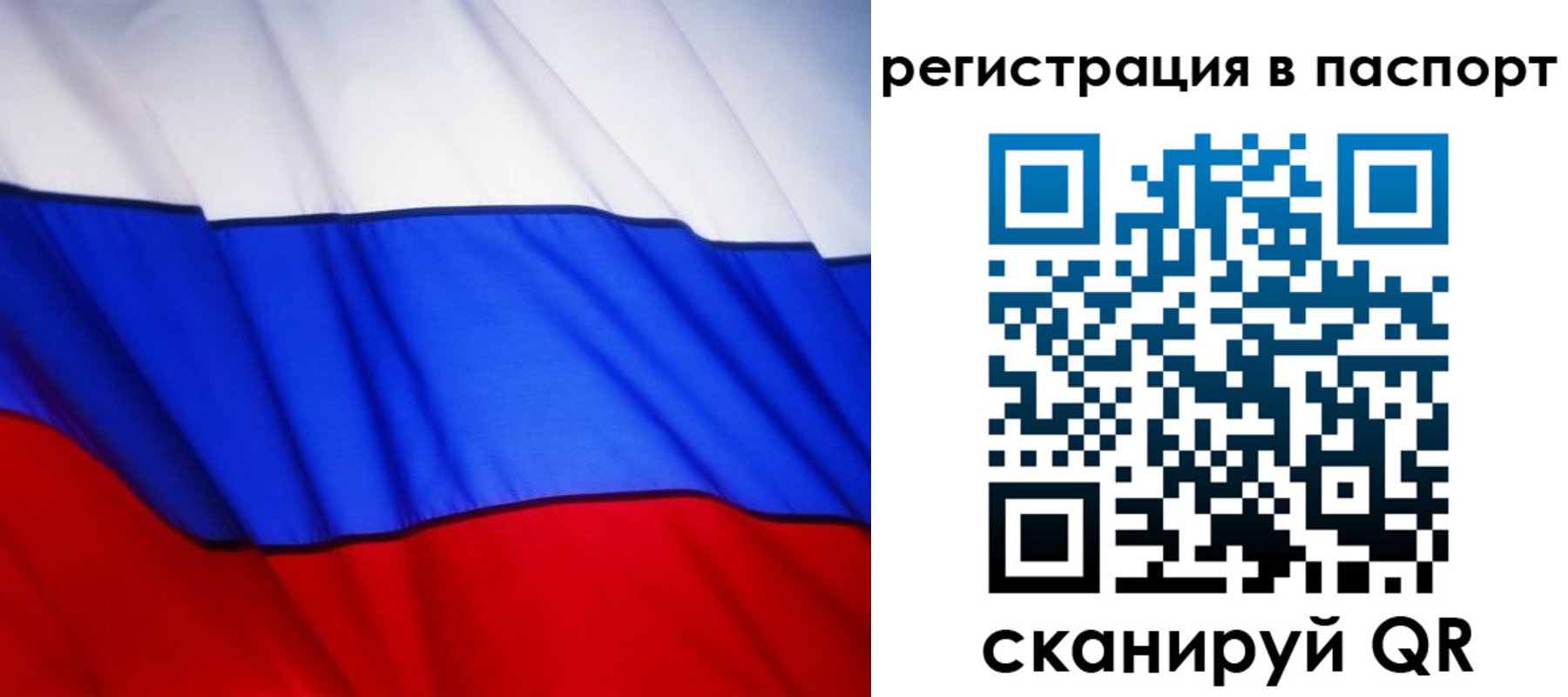 прописка 2025 в Ясном